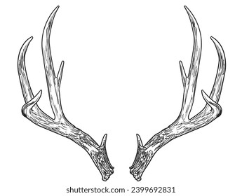 hand drawn Christmas Reindeer vector illustration