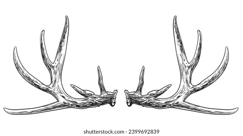 hand drawn Christmas Reindeer vector illustration