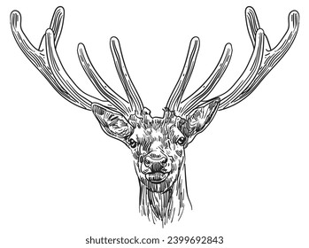 hand drawn Christmas Reindeer vector illustration