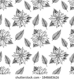 Hand drawn Christmas seamless pattern with poinsettia flowers isolated on white background. Christmas design elements. Vector illustration in sketch style.