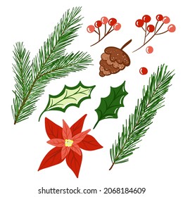 hand drawn christmas set of vector illustrations of red berries, leaves and pine branches,  and pinecone and poinsettia flower