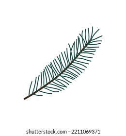 Hand drawn Christmas tree branch isolated on white background. Decorative doodle sketch illustration. Vector floral element.