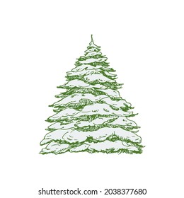Árbol de Navidad Dibujado a Mano Cubierto con Ilustración Vector de Color de Nieve. Esbozo abstracto. Dibujo de estilo de grabado de vacaciones de invierno. Aislado.