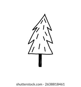 Hand drawn Christmas tree, cute doodle style, vector illustration isolated on white background. Cartoon fir tree in outline. Winter nature.
