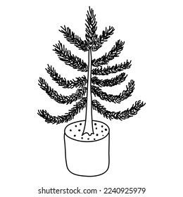 Hand drawn Christmas tree in a pot isolated on white background. Black and white vector illustration.