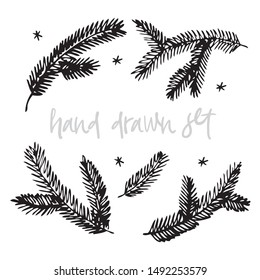Hand drawn christmas tree twigs set. Isolated coniferous branches for winter illustration and postcard for the new year. 1