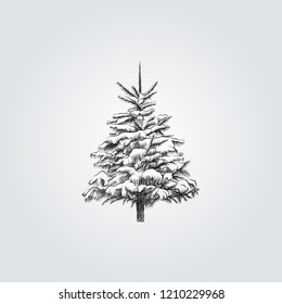 Hand Drawn Christmas tree under the snow Sketch Symbol isolated on white background. Vector of winter elements In Trendy Style