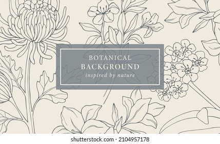 Hand drawn chrysanthemum, amaryllis, clivia, azalea background