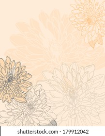 Hand drawn chrysanthemum background