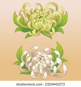 Ilustración de la flor de crisantemo dibujada a mano