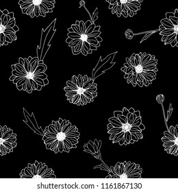 Hand drawn chrysanthemum flowers, branches, leaves isolated on a white background. Chrysanthemum Flower.