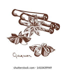 Hand drawn cinnamon on white background.  For Invitation cards decoration, wrapping, textiles, paper. Design element for packaging. Vector illustration