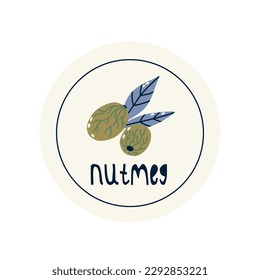Hand Drawn circle illustrated label spice herb nutmeg. Flat vector nature botanical graphic design packaging sticker