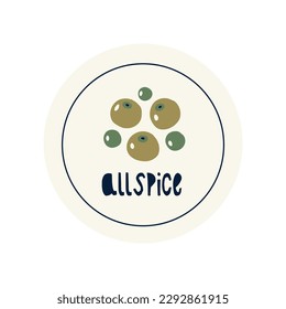 Hand Drawn circle illustrated label spice herb allspice. Flat vector nature botanical graphic design packaging sticker