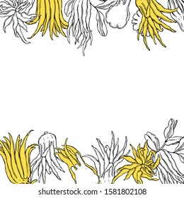 Hand drawn Citron (Buddha's hand fruit, fingered citron fruit, Citrus medica) . Vector background. Sketch illustration.