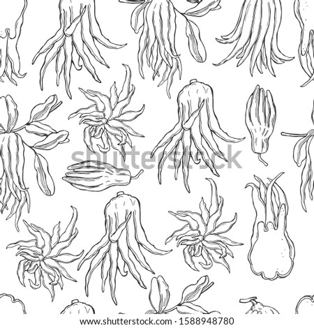 Hand drawn Citron (Buddha's hand fruit, fingered citron fruit, Citrus medica) . Vector  seamless  pattern .
