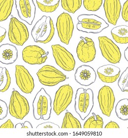 Hand drawn citron.  Vector  seamless pattern