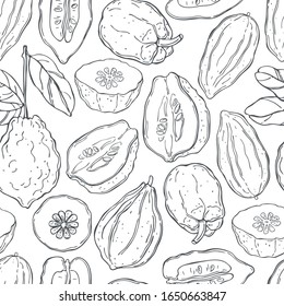 Hand drawn citron.  Vector  seamless pattern