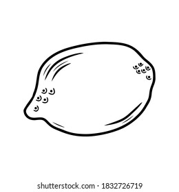 Hand drawn citrus fruit lemon isolated on a white background. Doodle, simple outline illustration. It can be used for decoration of textile, paper and other surfaces.