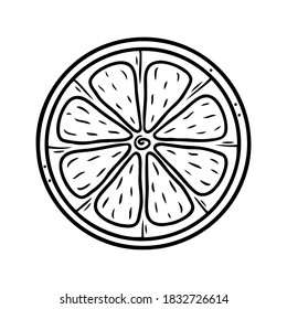 Hand drawn citrus fruit a slice of lemon or orange isolated on a white background. Doodle, simple outline illustration. It can be used for decoration of textile, paper and other surfaces.