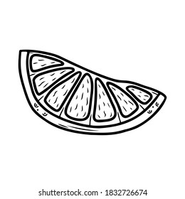 Hand drawn citrus fruit a slice of lemon or orange isolated on a white background. Doodle, simple outline illustration. It can be used for decoration of textile, paper and other surfaces.