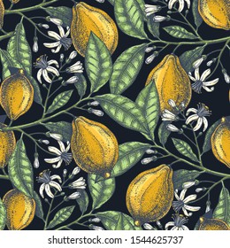 Hand drawn citrus fruits backdrop. Elegant lemons seamless pattern with citrus fruits, flowers, branches sketches. Perfect for packaging, fabric, wrapping paper. Watercolor style art. Lemons design