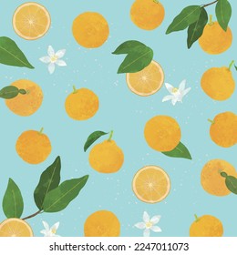 Hand drawn citrus fruits frame.Citrus fruits vector background illustration