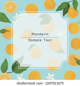 Hand drawn citrus fruits frame.Citrus fruits vector background illustration