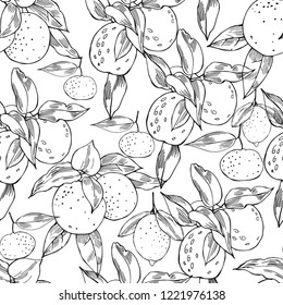 Hand drawn citrus fruits.Vector  seamless pattern