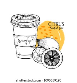 Hand drawn citrus herbal tea to go. Tea cup, lemon and orange. Vectror engraved art. Healing warm tea in paper cup. Food ingredient, aromatherapy, cooking. For restaurant menu, treating, healt care.