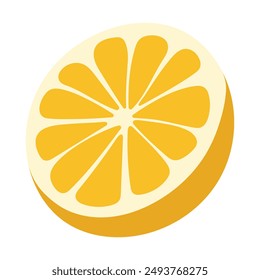 Corte de cítricos dibujado a mano aislado sobre fondo blanco. Ilustración vectorial