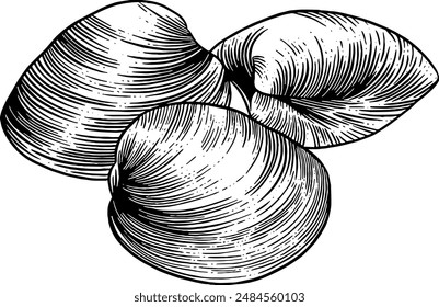 Hand drawn Clam Shells Sketch Illustration