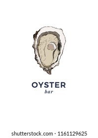 Hand drawn clams isolated on white background. Seafood elements sketch. Oysters vector illustrator. Retro style
