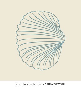 Hand drawn of clams. Sketch of clams isolated on white background.