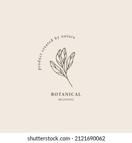 Hand drawn clary sage branch logo