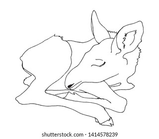 Hand Drawn Clean Sketch Baby Moose Stock Vector Royalty Free Shutterstock