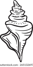 Hand drawn clipart illustration of seashell shell mollusc seaside shellfish 