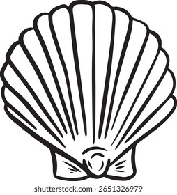 Hand drawn clipart illustration of seashell shell mollusc seaside shellfish 