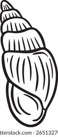 Hand drawn clipart illustration of seashell shell mollusc seaside shellfish 