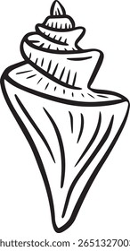 Hand drawn clipart illustration of seashell shell mollusc seaside shellfish 
