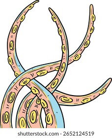 Hand drawn clipart illustration of tentacles octopus Cthulhu creatures with suckers 
