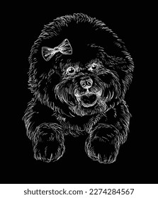 Hand drawn close up Bichon Frise head in white color on a black background. Engraving vector illustration with a dog. For engraving, decor, design, print, posters, postcards, stickers, tattoo, t-shirt