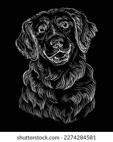 Hand gezeichnet, Nahaufnahme Golden Retriever Kopf in weißer Farbe auf schwarzem Hintergrund. Gravur, Vektorgrafik mit einem Hund. Für Gravur, Dekoration, Design, Druck, Poster, Postkarten, Aufkleber, T-Shirt