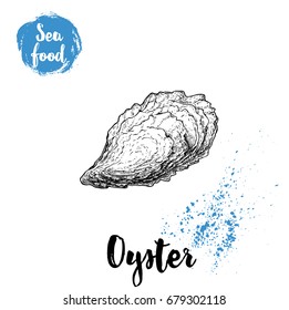 Hand drawn closed oyster shell. Seafood sketch style illustration. Fresh marine mollusk. 