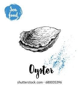 Hand drawn closed oyster shell. Seafood sketch style illustration. Fresh marine mollusk. 