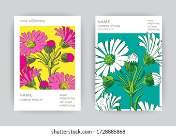 Hand drawn close-up Chrysanthemum flower artistic vector illustration. Botanical wedding flowers. Petals painted in pink white. Floral trendy pattern Greeting card invitation yellow blue background