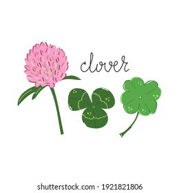 Hand drawn clover flower, shamrock. Modern flat illustration.
