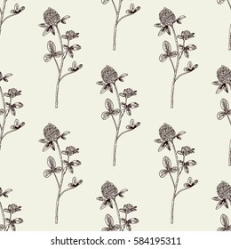 Hand drawn clover plant with leaves seamless pattern. medicinal, cosmetic plants vintage ink sketch style vector illustration