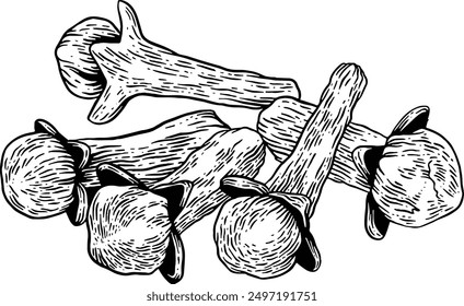Hand drawn Cloves Sketch Illustration