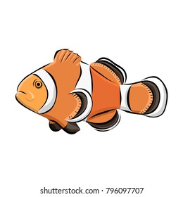 Hand drawn clown fish, vector